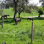 Bodensee Wangener Strasse *