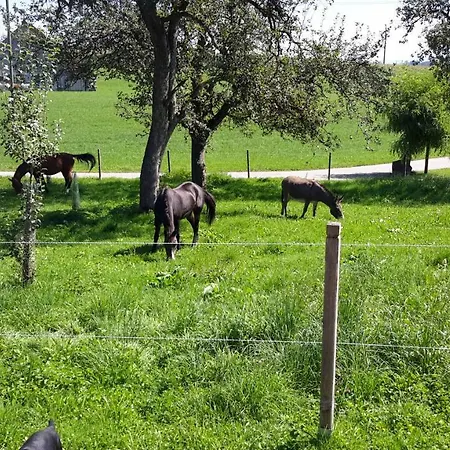 Bodensee Wangener Strasse *