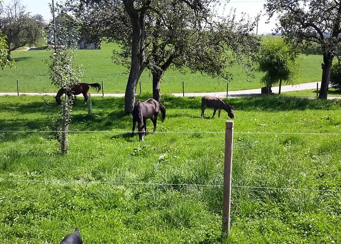 Bodensee Wangener Strasse *